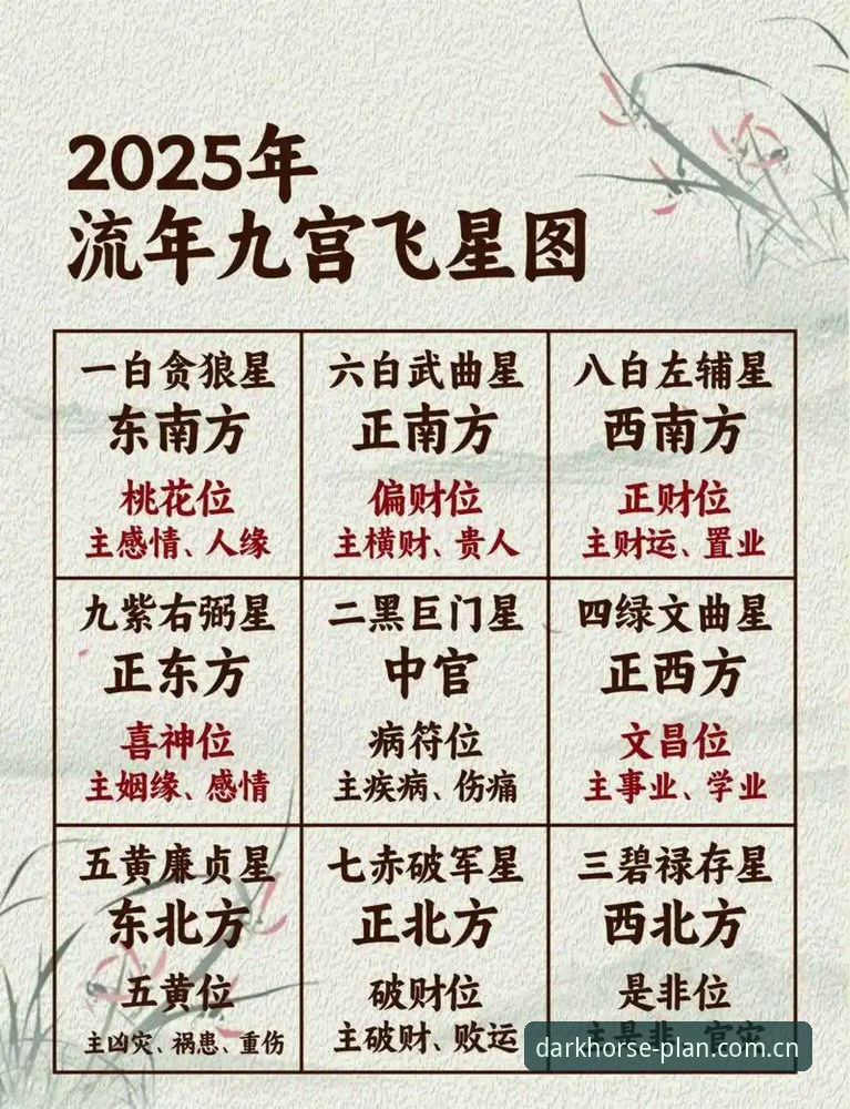 黑马计划网页版官网类似平台推荐：2025版本数据与赛事覆盖深度评测